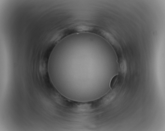 X0000114090426200910131300