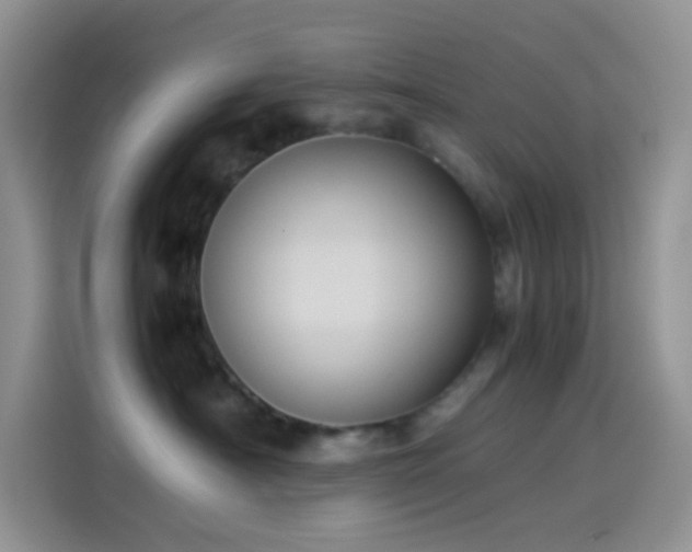 X0000114090430200910131300