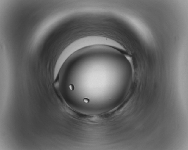X0000114090431200910131300