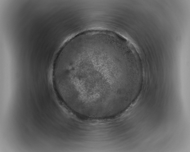 X0000114090434200910131259