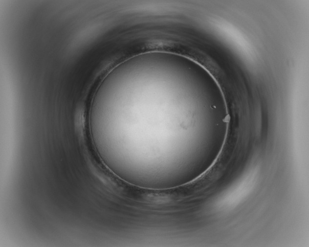 X0000114090435200910131259
