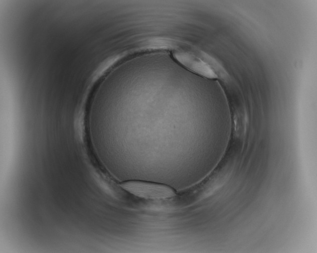 X0000114090436200910131300