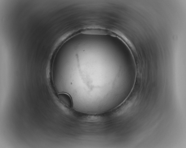 X0000114090437200910131300