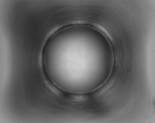 X0000114090439200910131300