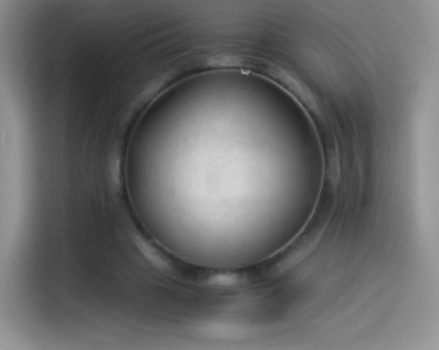 X0000114090441200910131300
