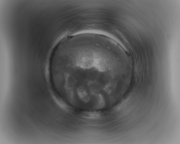 X0000114090443200910131300