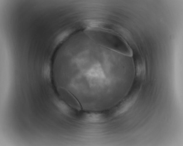 X0000114090444200910131300