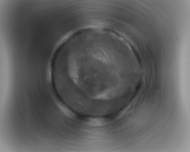 X0000114090446200910131300