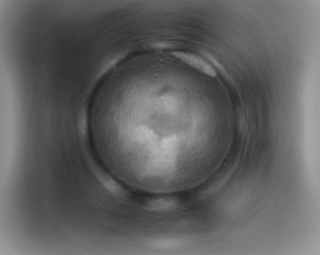 X0000114090447200910131300