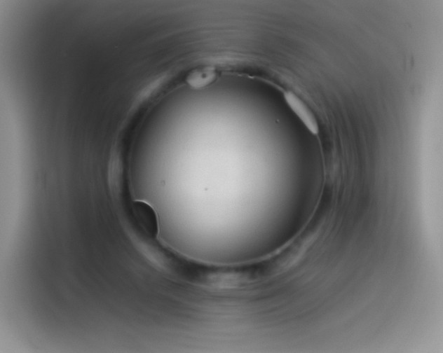 X0000114090448200910131300