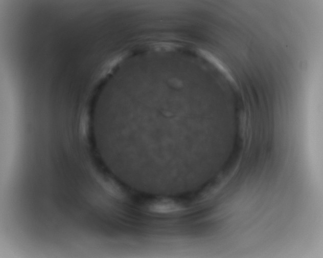 X0000114090451200910131300