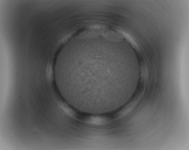 X0000114090453200910131300