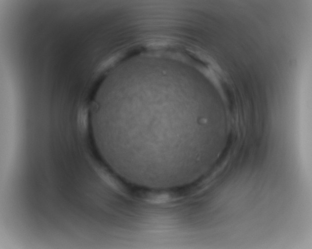 X0000114090454200910131300