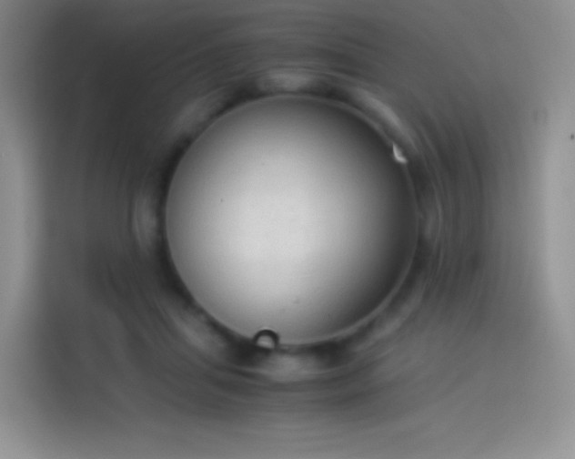 X0000114090455200910131300