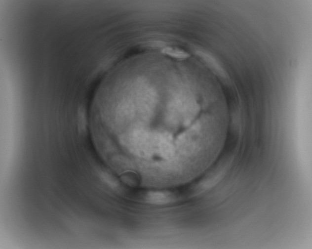 X0000114090457200910131300