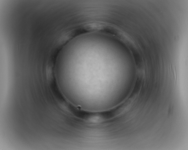 X0000114090460200910131300