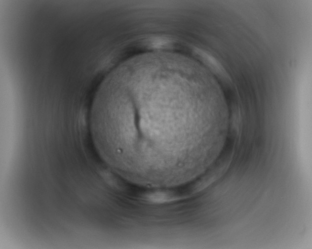 X0000114090461200910131300