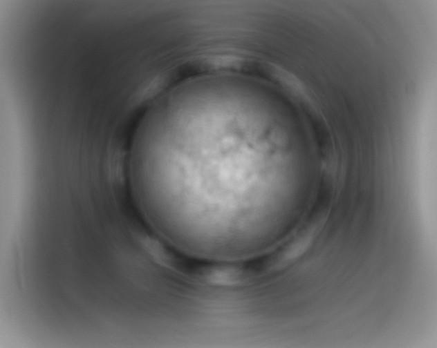 X0000114090462200910131300