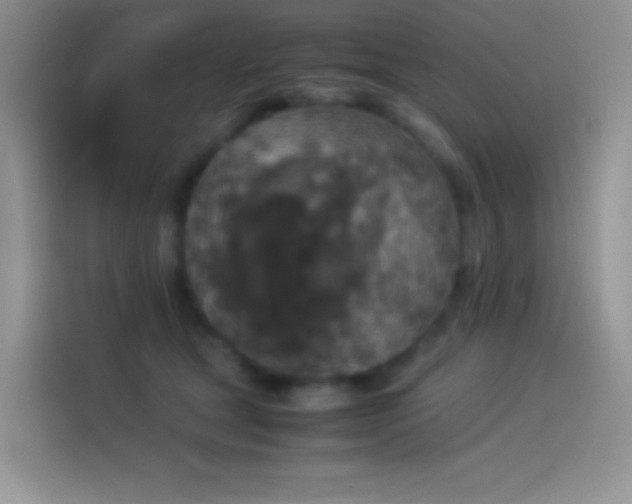 X0000114090465200910131300