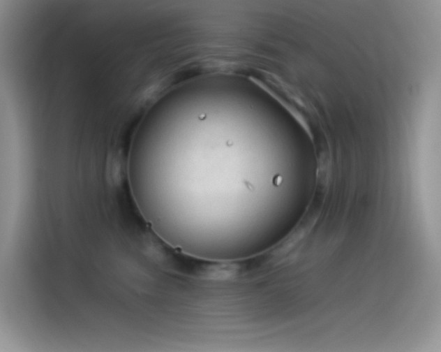 X0000114090474200910131300
