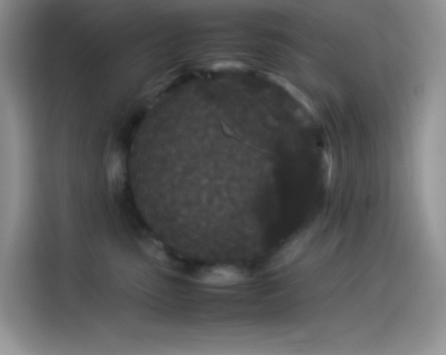X0000114090475200910131300