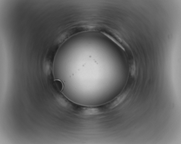 X0000114090476200910131300