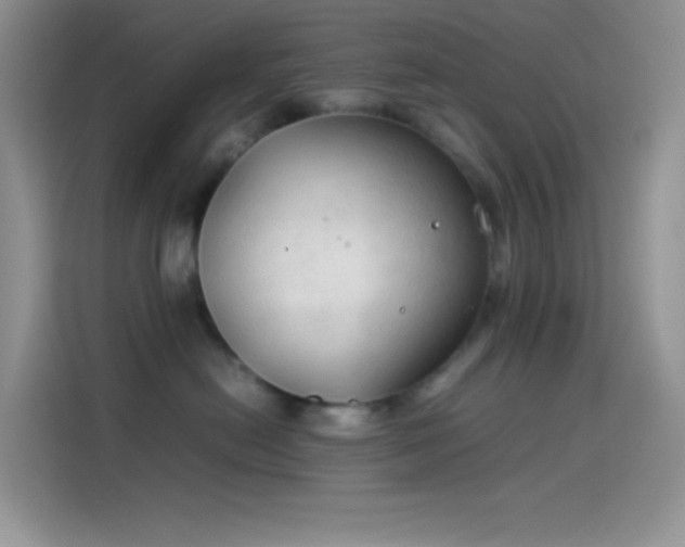 X0000114090478200910131300