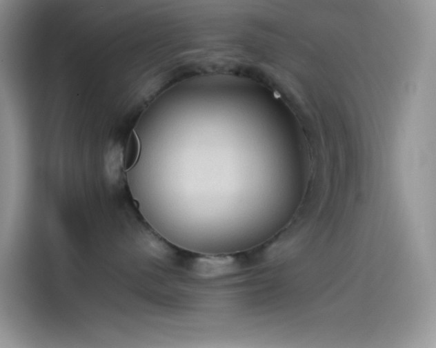 X0000114090480200910131300