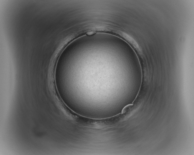 X0000114090481200910131259