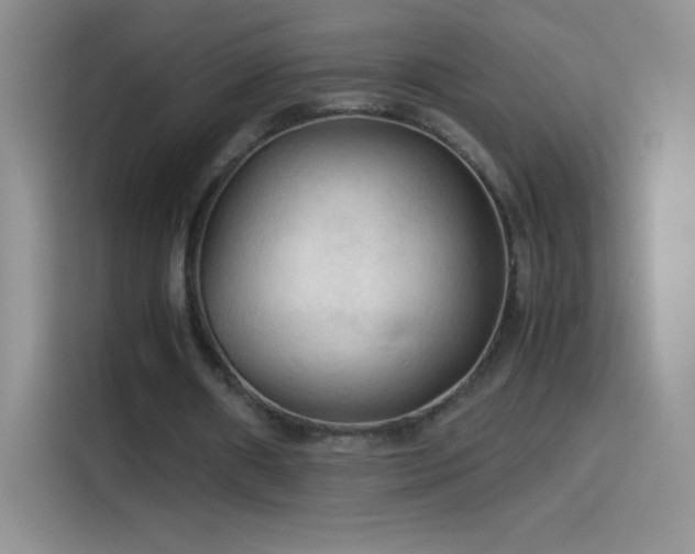 X0000114090482200910131259
