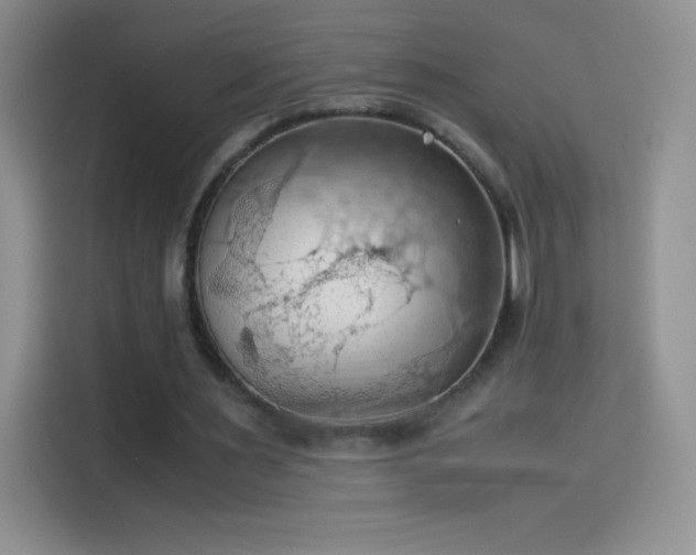 X0000114090483200910131259