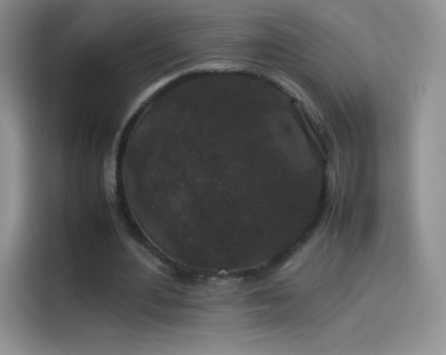 X0000114090484200910131259