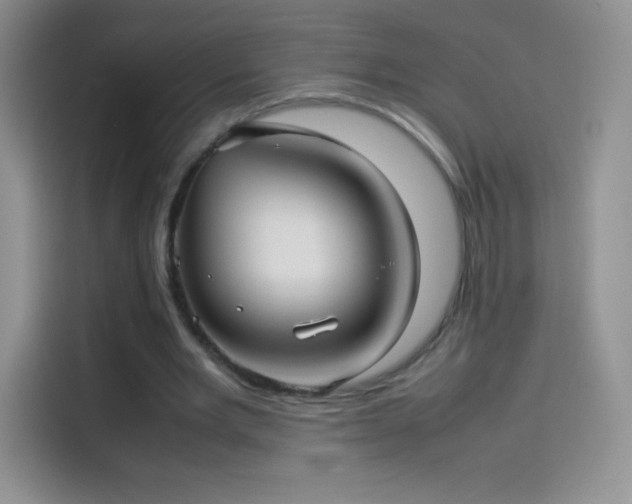 X0000114090485200910131259