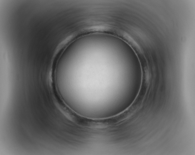 X0000114090486200910131259