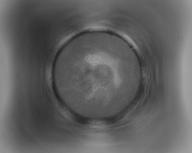 X0000114090487200910131259