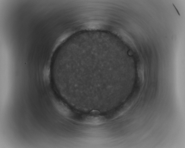 X0000114090488200910131259