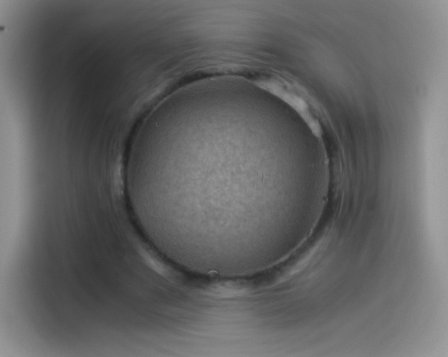 X0000114090489200910131259