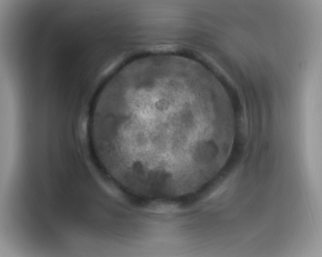 X0000114090491200910131259