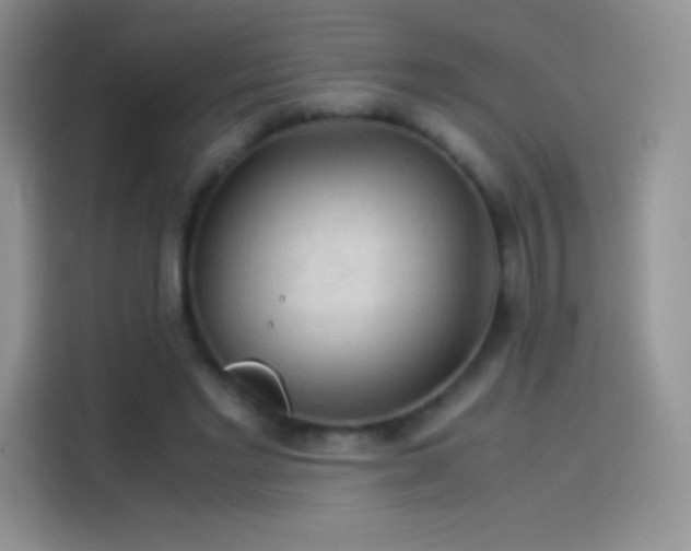 X0000114090493200910131259