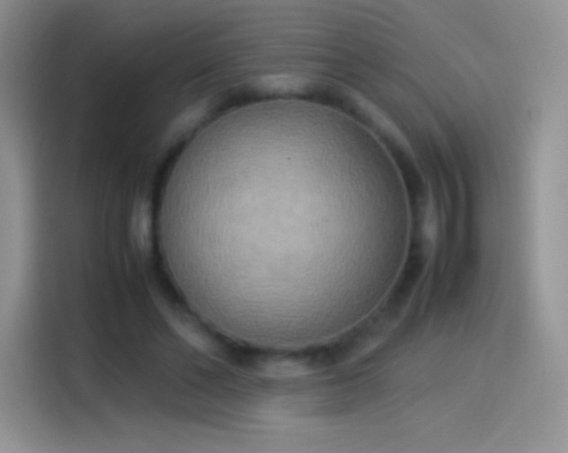X0000114090494200910131259