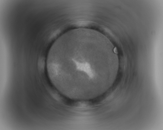 X0000114090495200910131259