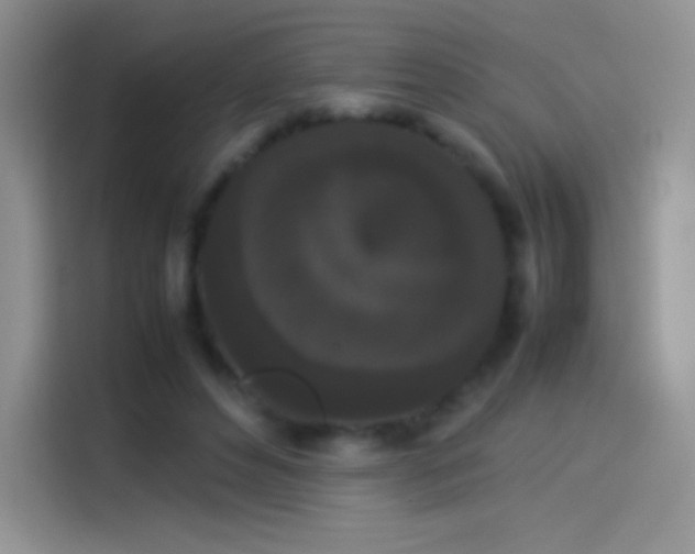 X0000114090496200910131259