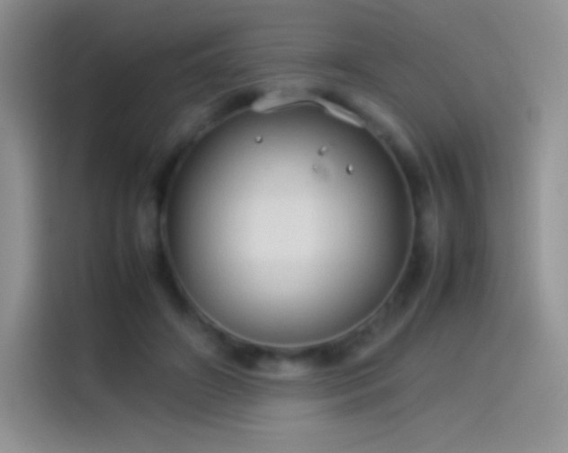 X0000114090498200910131259