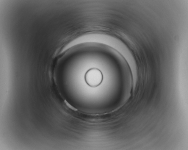 X0000114090500200910131259