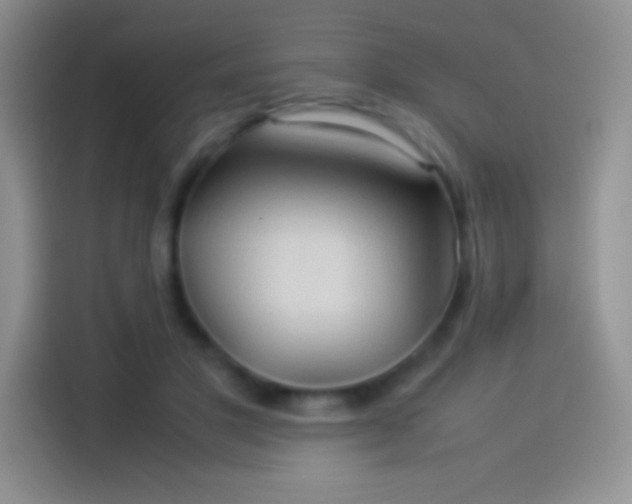 X0000114090501200910131259