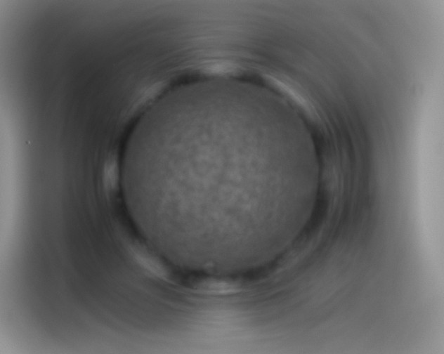 X0000114090502200910131259