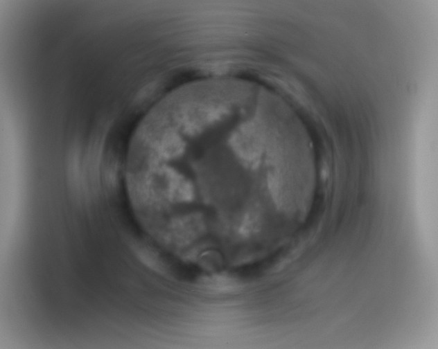 X0000114090503200910131259