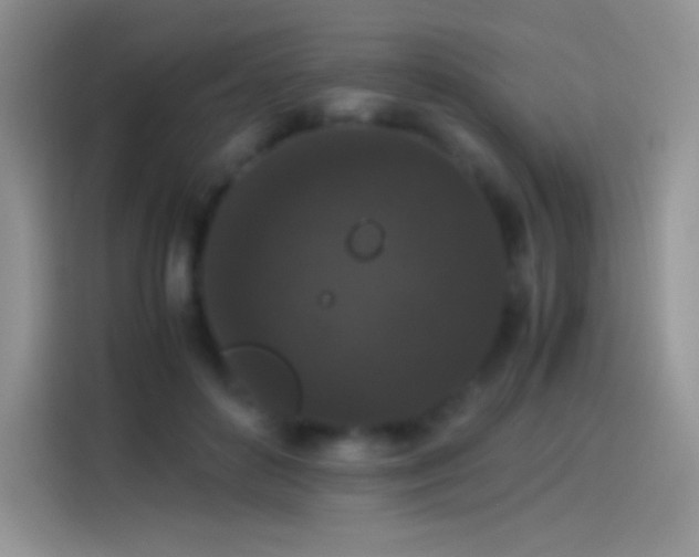 X0000114090504200910131259