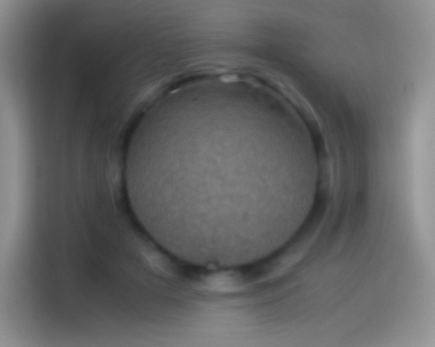 X0000114090505200910131259