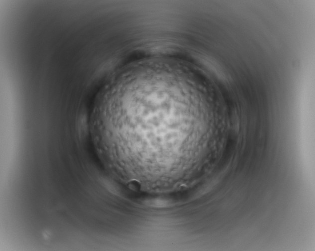 X0000114090506200910131259